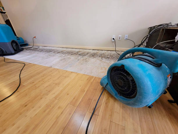 Professional Basement Flood Cleanup technician working in Post Falls, ID